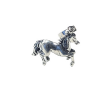 Charger l&#39;image dans la galerie, Horse Charm
