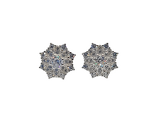 Charger l&#39;image dans la galerie, Sterling Silver with Rhodium Flower Stud Earrings with Cubic Zirconia
