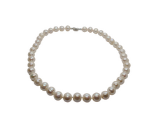 Load image into Gallery viewer, Sterling Silver Freshwater Pearl Necklace
