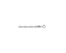 Load image into Gallery viewer, Sterling Silver Singapore Chain
